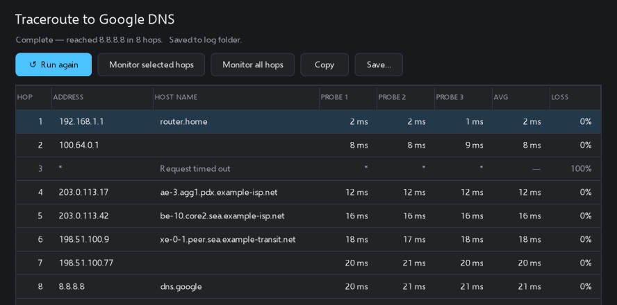 Traceroute to Google DNS: eight hops with addresses, host names and three probe times each.